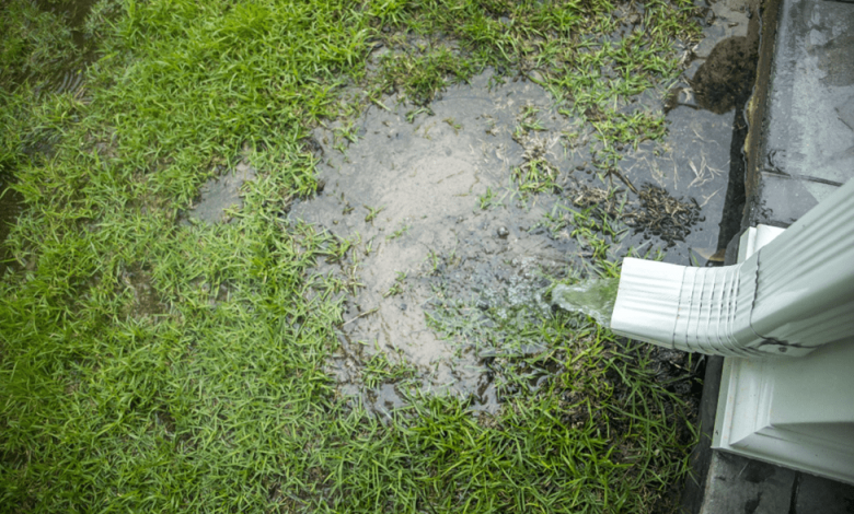 How To Effectively Manage Stormwater Runoff On Your Property