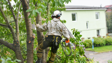 What Does an Arborist Do? A Comprehensive Overview